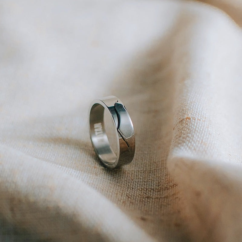 Minimal Palestinian Map Ring Band (Silver)