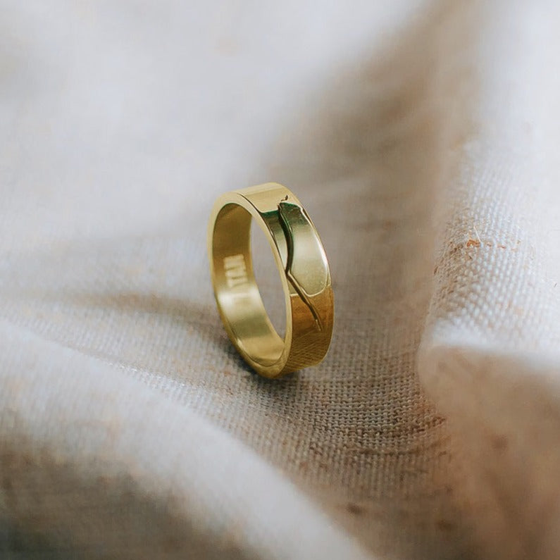 Minimal Palestinian Map Ring Band (Gold)