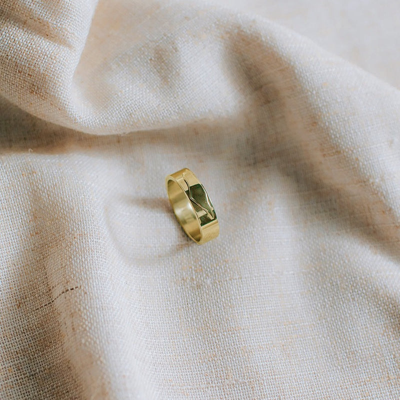 Minimal Palestinian Map Ring Band (Gold)