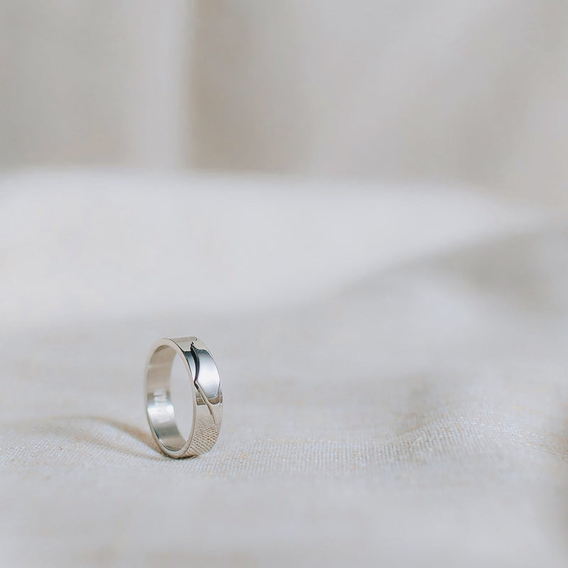 Minimal Palestinian Map Ring Band (Silver)