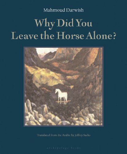 Cover of Why Did You Leave the Horse Alone?