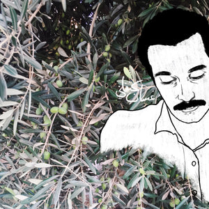 "Ghassan Kanafani Among Olives Branches" Print