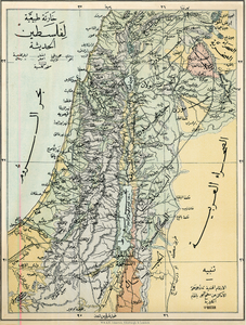 A Natural Map of Modern Palestine Poster